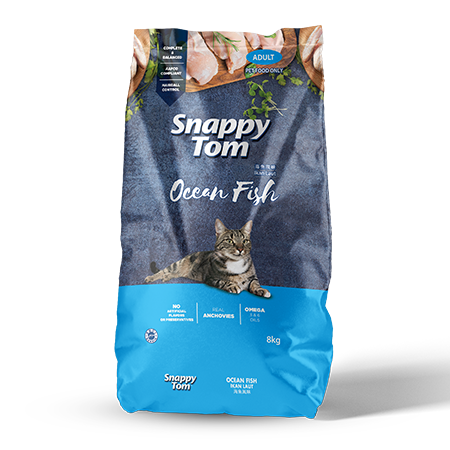 Snappy Tom Ocean Fish